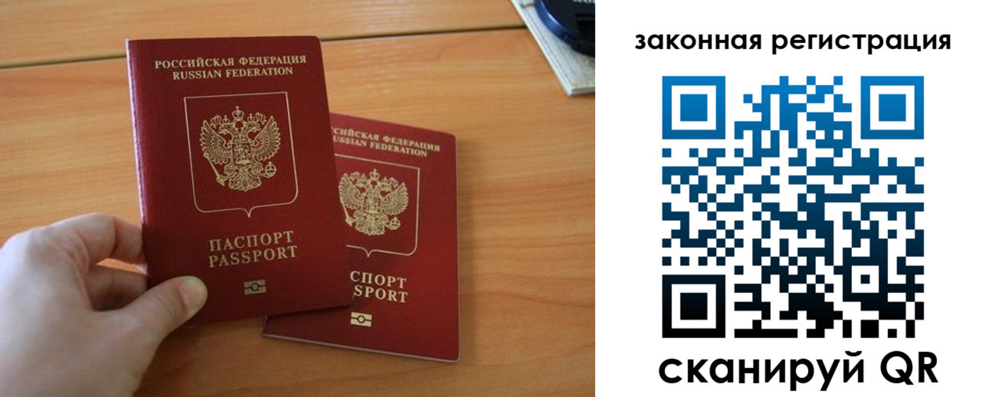 прописка в квартире в Ермолино